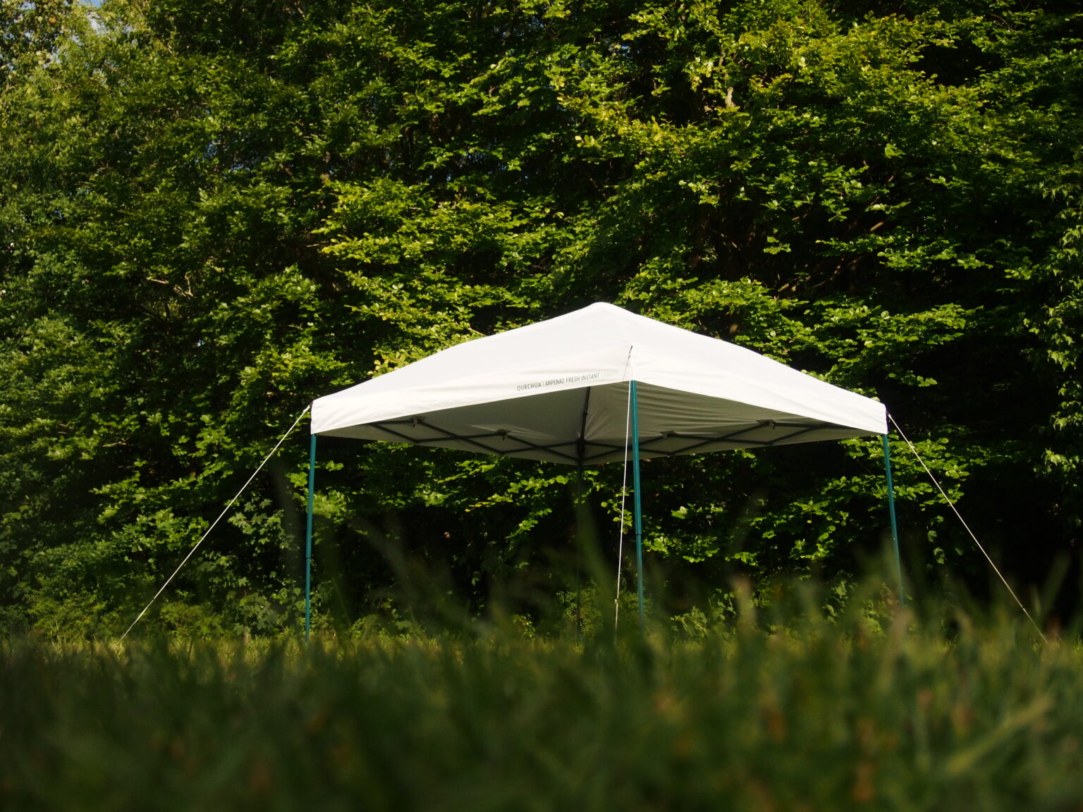 Wildeburg - Olympus digital camera