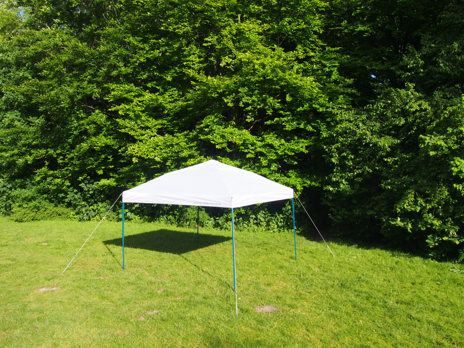 Wildeburg - Olympus digital camera