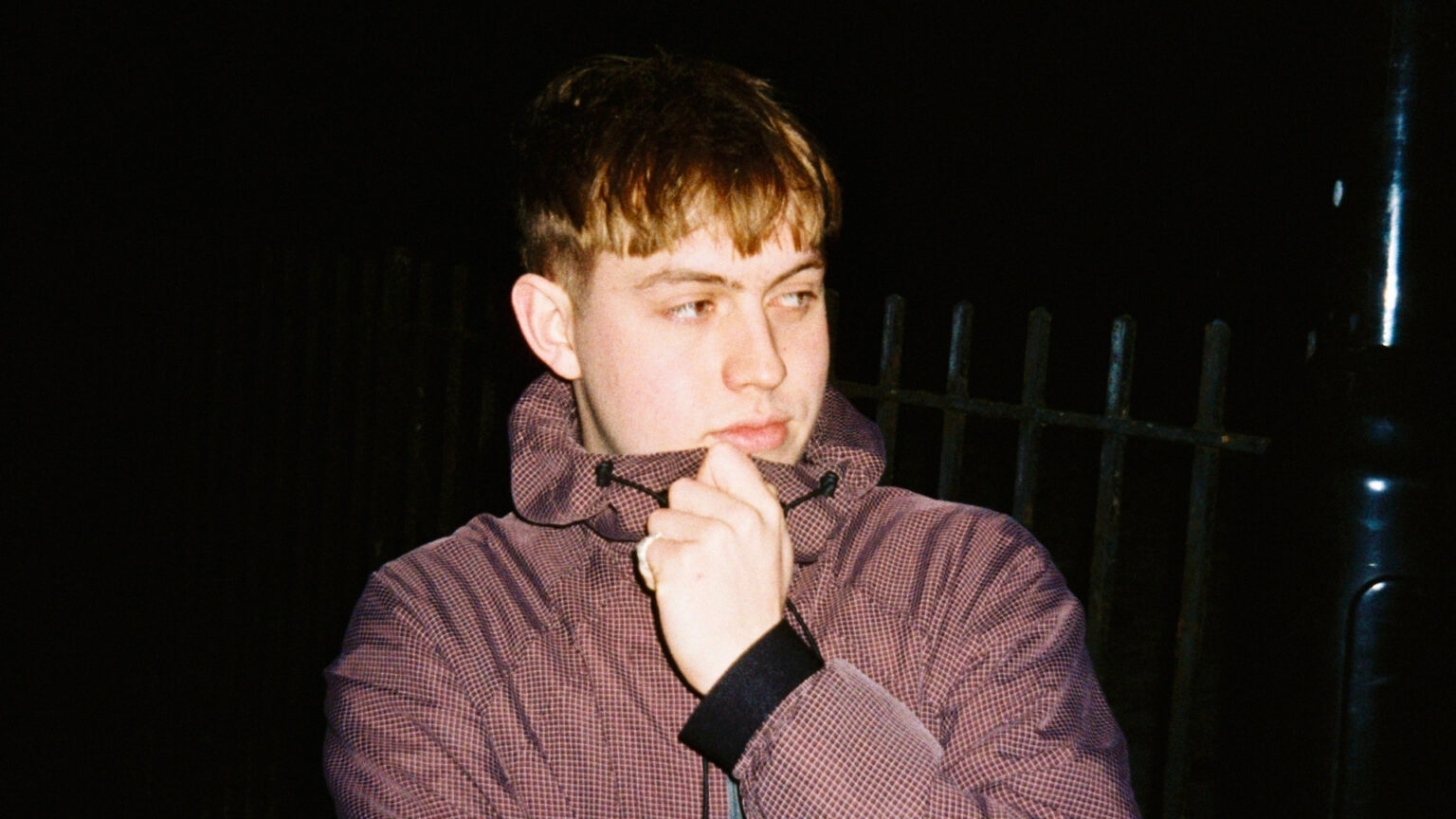 Wildeburg - Silva bumpa