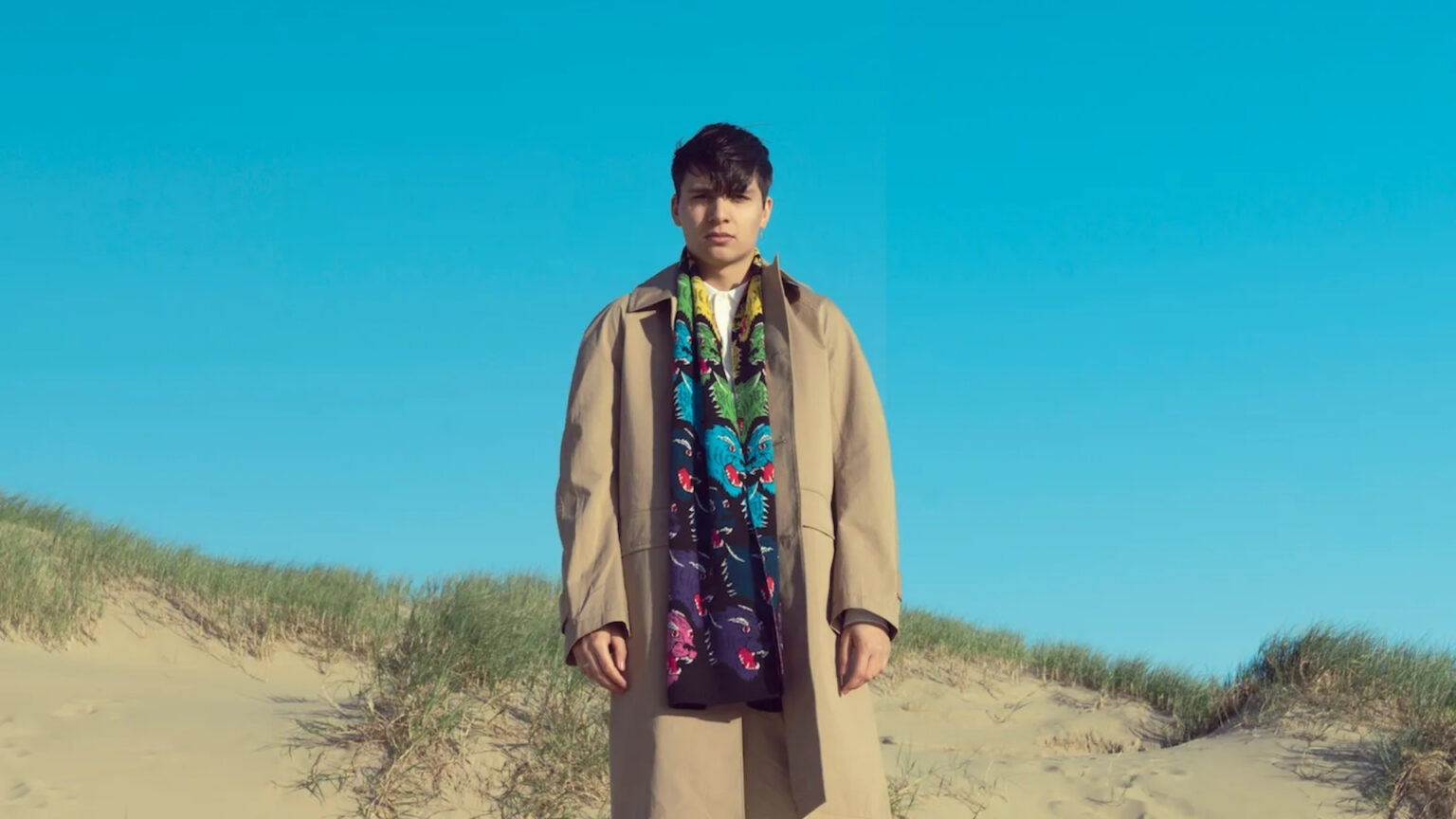 Wildeburg - Sim fane