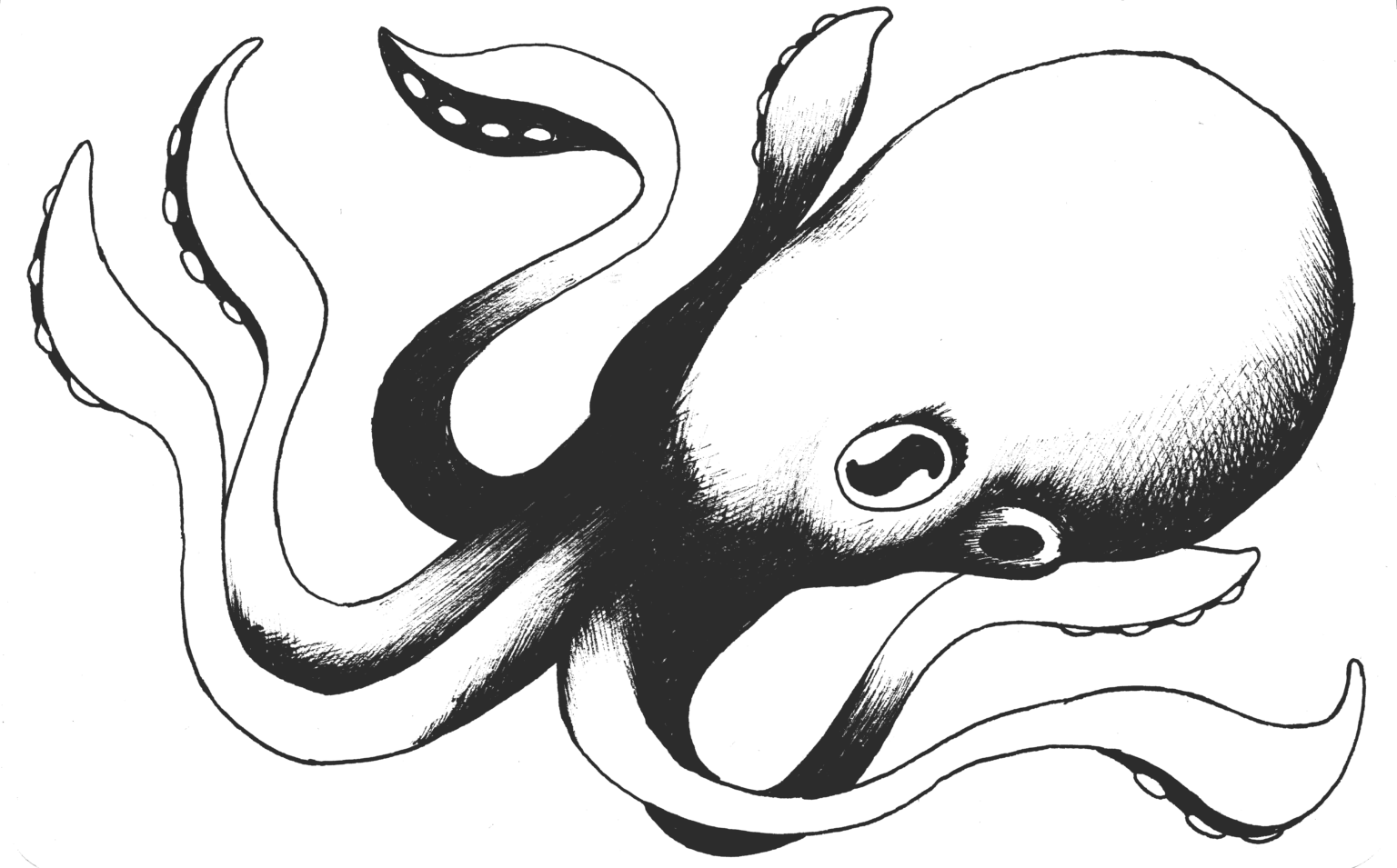 Wildeburg - Olf26_octopus