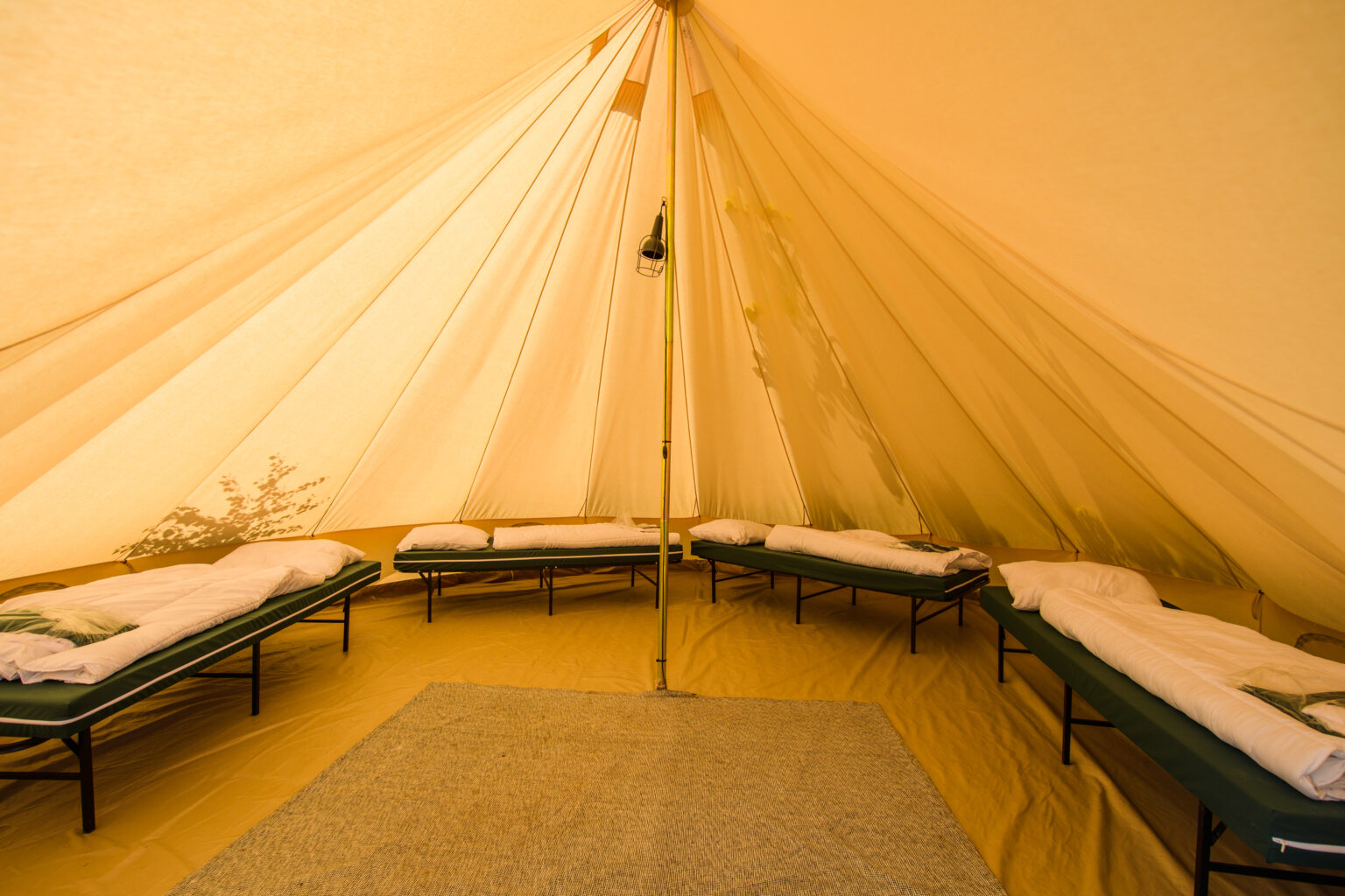 Wildeburg - _dcs2052