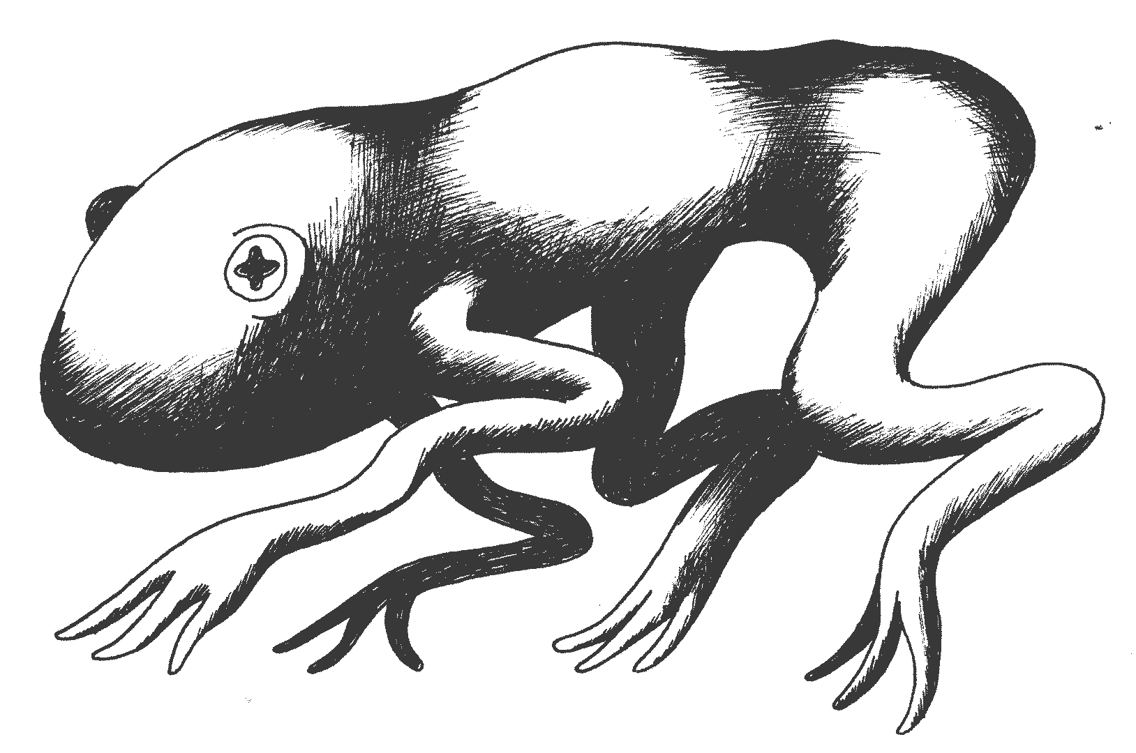 Wildeburg - Olf26_froggy_animatie