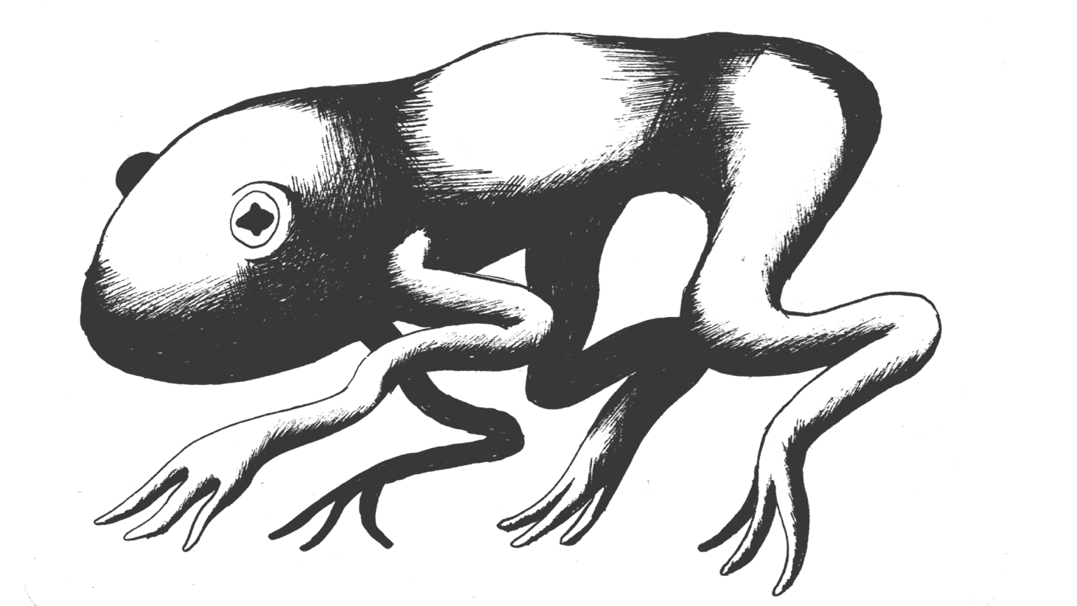 Wildeburg - Olf26_froggy_383838